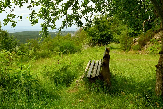 与梅西时 与梅西时