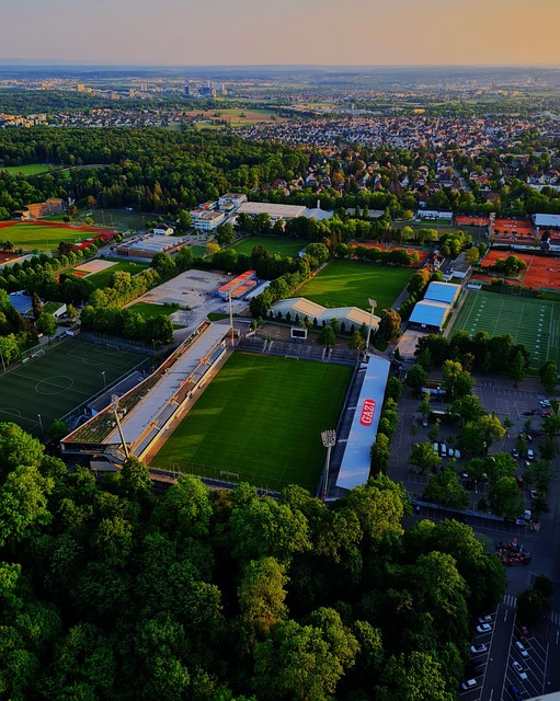 的臨場發揮 的臨場發揮