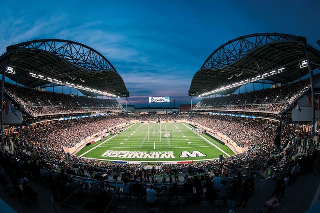 足球赛场上 足球赛场上