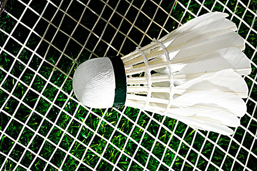 俱樂部的核 俱樂部的核