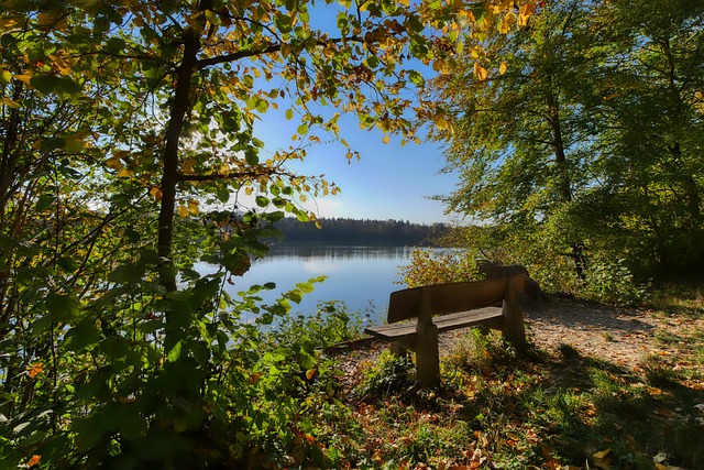 他不急于重 他不急于重