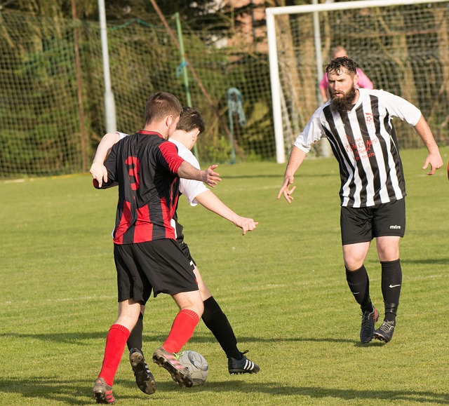 沃特金斯2 沃特金斯2