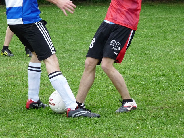 的不懈支持 的不懈支持